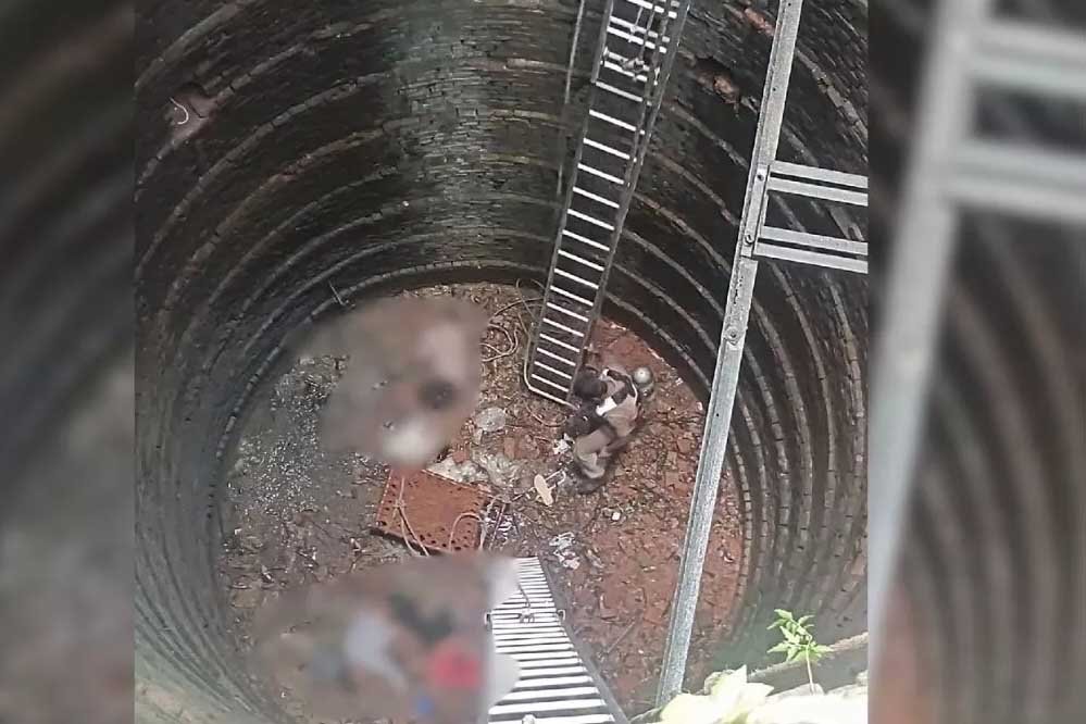 सूखे कुएं में उतरने से कई तरह की हो सकती हैं दुर्घटनाएं