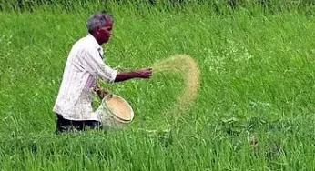 CG : राजस्व निरीक्षक और पटवारियों को निर्देश, किसानों का काम न रखे पेंडिंग,