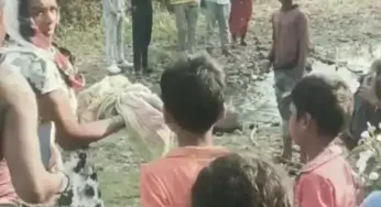 CG : झाड़ियों में मिली नवजात बच्ची, अब हुआ पूरा खुलासा,