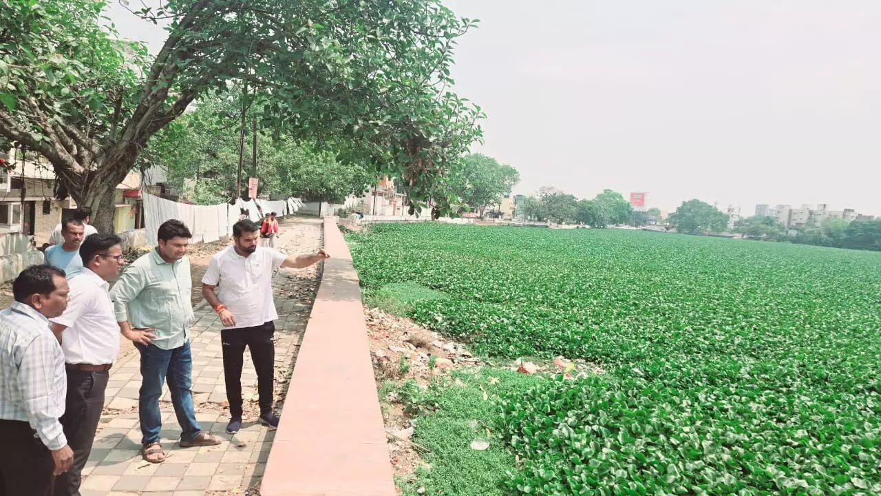 CG : राजातालाब में फैली जलकुंभी को साफ करने के निर्देश…
