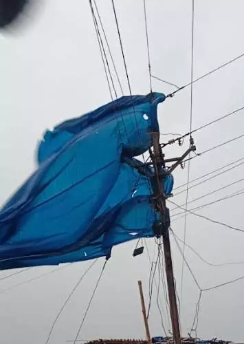 CG : आंधी-तूफान में 1 हजार से अधिक बिजली खंभे और 1217 लाइनें हुई क्षतिग्रस्त