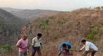 शाहपुर रेंज में वन अमले को एक बाघिन का शव मिलने से हड़कंप