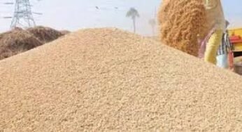 CG : 1 करोड़ 65 लाख की धान गड़बड़ी, 3 कर्मचारी सस्पेंड, FIR के निर्देश