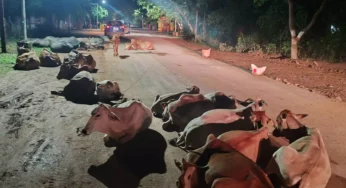 CG : कलेक्टर बंगले के सामने ये हाल, कुंभकरण की नींद में प्रशासन