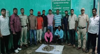 एक्शन में वन विभाग : पैंगोलिन की 6 किलो स्केल के साथ दो तस्कर गिरफ्तार