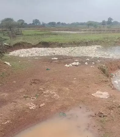 CG : खरोरा मशरूम फैक्ट्री के प्रबंधक गांवों में फैला रहे बीमारी, वेस्ट को कहीं भी लगा रहे ठीकाने