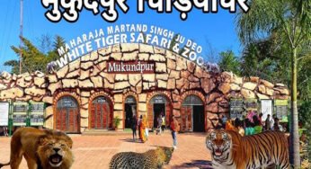 मुकुंदपुर टाइगर रिजर्व को रीवा में शामिल करने पर MP में सियासी हलचल