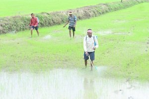 राजनांदगांव : जिले में पर्याप्त मात्रा में खाद-बीज का भंडारण…