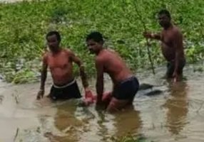 CG : आरंग पुल से लापता महिला की लाश मिली…