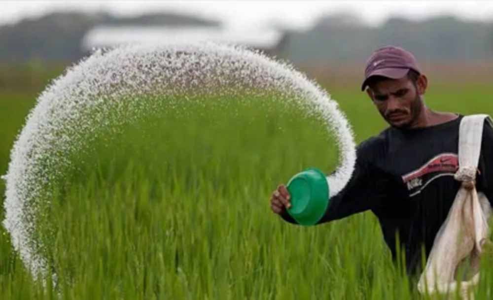 एमपी के किसानों के लिए बड़ी राहत, जल्द मिलेगा 5.60 लाख मीट्रिक टन यूरिया: CM का ऐलान