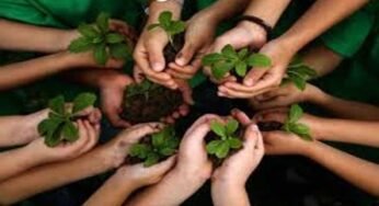 अमृत हरित महाअभियान: नगरीय क्षेत्रों में रोपे गये 23 लाख पौधे