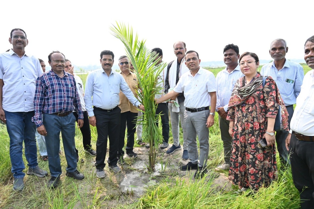 CG : ऑयल पाम खेती: किसानों के लिए स्थायी आय और आत्मनिर्भरता की राह