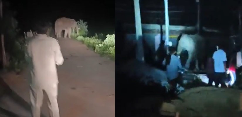CG : प्रकृति और संस्कृति का संगम है जशपुर : मुख्यमंत्री