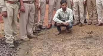 CG : कारपेंटर के घर वन विभाग ने मारी रेड, 2 लाख की महंगी लकड़ी जब्त…
