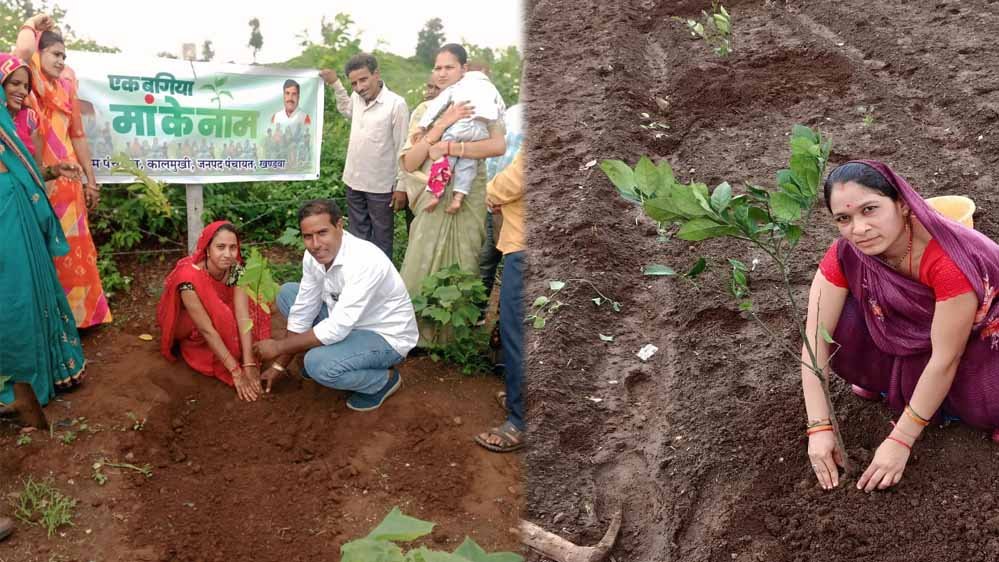 एक बगिया मां के नाम: पर्यावरण सुधार के साथ महिलाओं के आर्थिक सशक्तिकरण का माध्यम बनी परियोजना