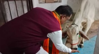 रायपुर : गौ-सेवा से ही मिलती है सच्ची शांति और ऊर्जा : मुख्यमंत्री विष्णु देव साय