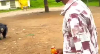 CG : युवक ने भालू को कोल्ड ड्रिंक पिलाया, युवक गिरफ्तार