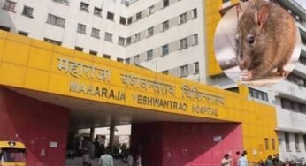 इंदौर MY अस्पताल में दो नवजातों पर चूहों का हमला, पहले भी हो चुकी ऐसी घटनाएं
