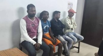 कोरबा में गोवंश तस्करी का पर्दाफाश: आरोपी गिरफ्तार, सात बैल बरामद