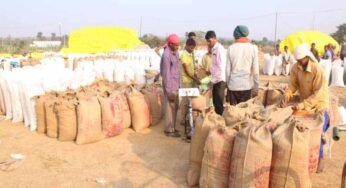 धान खरीदी के लिए एग्रीस्टैक पोर्टल में किसान पंजीयन अनिवार्य : किसान 31 अक्टूबर तक करा सकेंगे पंजीयन