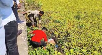 नगर पालिका की सफाई, तालाब से मिली लाश, पुलिस जांच में जुटी