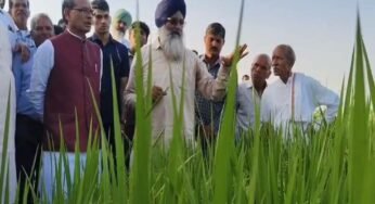 शिवराज सिंह का किसानों को सुझाव: खेती का पैटर्न बदलें, नई बासमती किस्म से होगा बंपर उत्पादन
