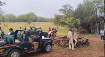 MP के पन्ना टाइगर रिजर्व के गेट 3 महीने बाद खुले, सफारी का रोमांच आज से शुरू