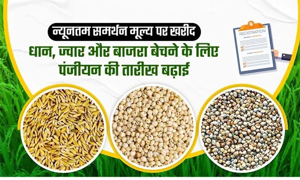 समर्थन मूल्य पर धान, ज्वार एवं बाजरा उपार्जन हेतु पंजीयन 10 अक्टूबर तक