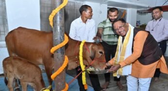 रायपुर : गोवर्धन पूजा के अवसर पर मुख्यमंत्री ने किया गौपूजन, प्रदेशवासियों की सुख-समृद्धि की कामना की