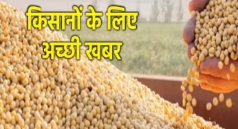 मध्य प्रदेश भावांतर योजना में 14727 किसानों से 25999 टन सोयाबीन खरीदी, जनवरी तक जारी