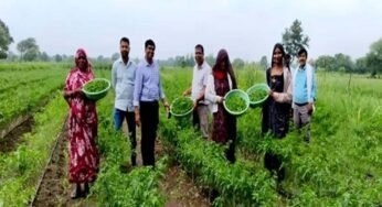 मध्यप्रदेश में क्लस्टर आधारित सब्जी उत्पादन से बदली किसानों की किस्मत, 14 जिलों में 3000 लाभार्थी