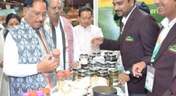 अंतरराष्ट्रीय व्यापार मेले में मुख्यमंत्री विष्णुदेव साय ने छत्तीसगढ़ पेवेलियन का किया अवलोकन