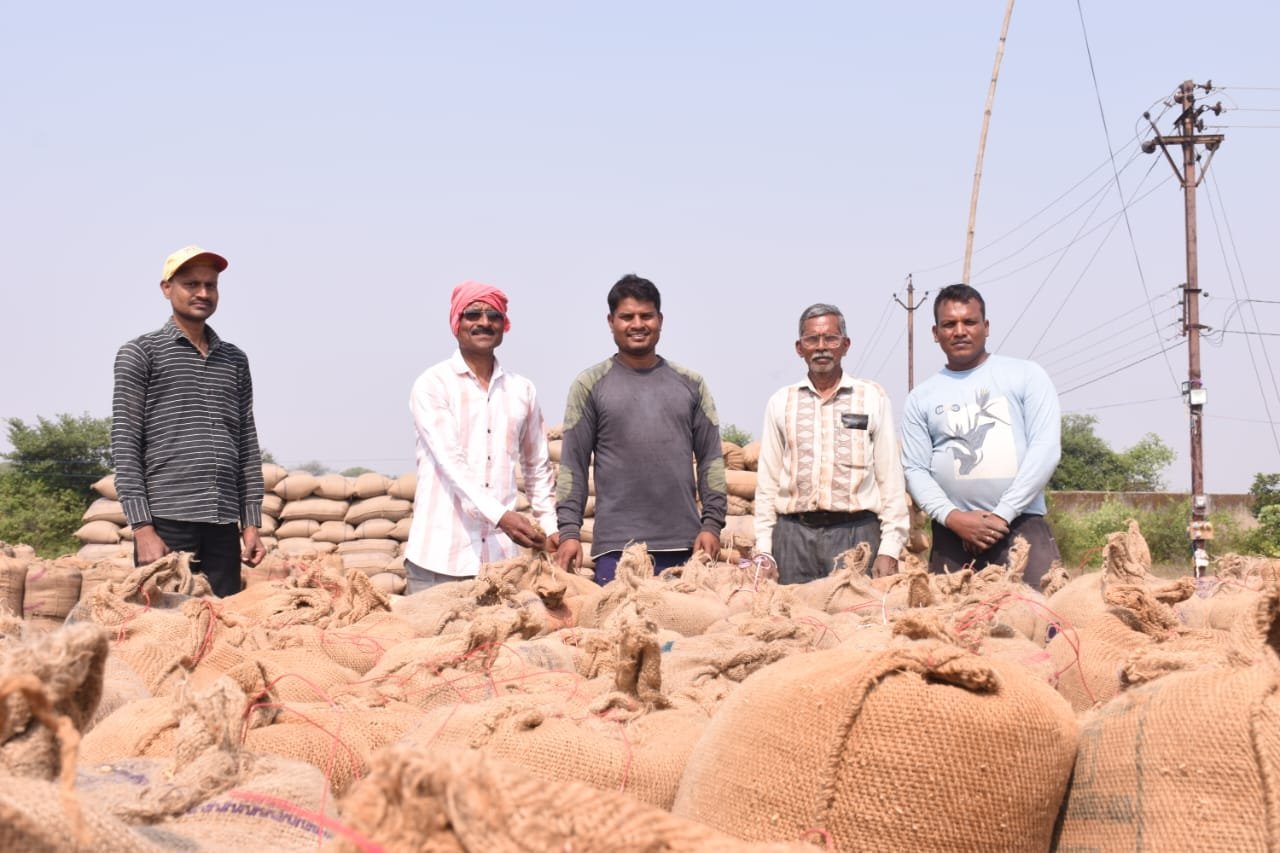 राजनांदगांव : जिले में धान की खरीदी उत्सव के लिए किसानों में उत्साह एवं खुशी