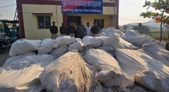 नशे के विरूद्ध खरगोन पुलिस की अब तक की सबसे बड़ी कार्रवाई पहाड़ी क्षेत्र में अवैध गांजा की खेती का भंडाफोड़