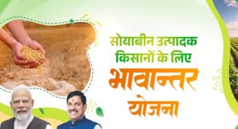 भावांतर योजना में सोयाबीन का मॉडल रेट बढ़कर हुआ 4255 रुपए