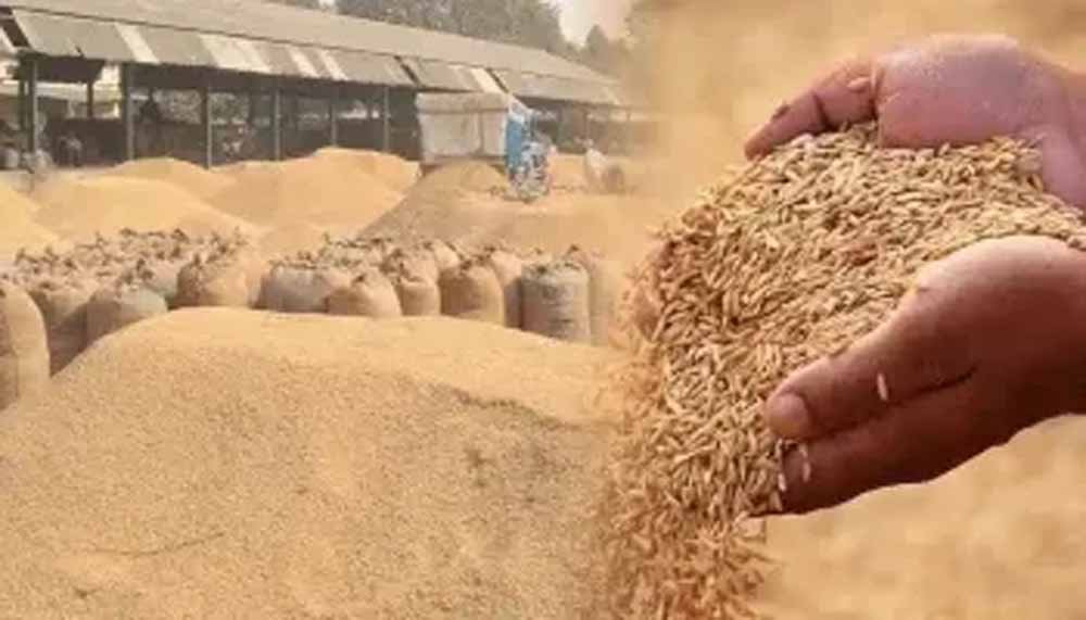 गौरेला पेंड्रा मरवाही : धान खरीदी के पहले दिन दो केंद्रों में आठ किसानों ने बेचा 506.80 क्विंटल धान