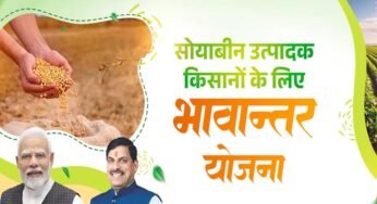 भावांतर योजना में सोयाबीन का मॉडल रेट बढ़कर हुआ 4271 रुपए