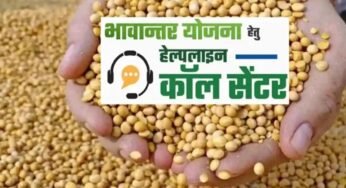 भावांतर योजना में सोयाबीन का मॉडल रेट बढ़कर हुआ 4285 रुपए