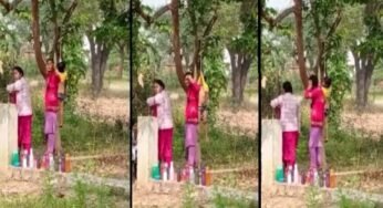सूरजपुर: स्कूल में मासूम बच्चे को टी-शर्ट से पेड़ पर लटकाने का वीडियो वायरल, प्रशासन में खलबली