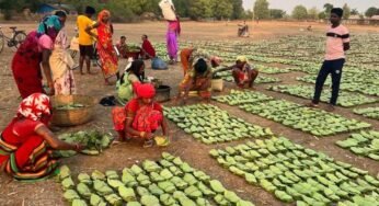रायपुर : छत्तीसगढ़ राज्य निर्माण के 25 वर्षों की सफलता की कहानी, वनोपज, जल संरक्षण और ईको टूरिज्म से बढ़ी समृद्धि