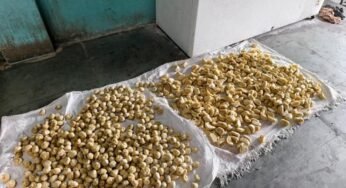 इंदौर में बड़ी कार्रवाई: ‘चिंटू मोमो’ फैक्ट्री सील, 150 किलो मिलावटी माल जब्त