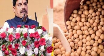 सोयाबीन किसानों के लिए राहत: मोहन सरकार देगी प्रति क्विंटल 1,300 रुपये का भावांतर
