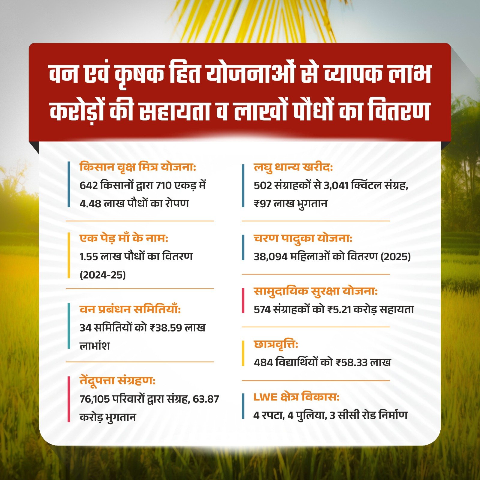 मोहला : हरियाली से खुशहाली, आर्थिक रूप से सशक्त हुए जिले के ग्रामीण