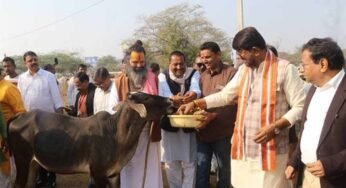 प्रदेश में अधिक से अधिक बनें स्वावलंबी गो-शालाएँ : राज्यमंत्री पटेल