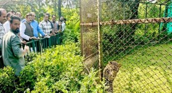 उप मुख्यमंत्री राजेन्द्र शुक्ल ने व्हाइट टाइगर सफारी का किया भ्रमण