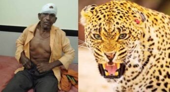 ग्रामीण पर तेंदुए का हमला, जंगल से नीम की पत्तियां लेने गया था
