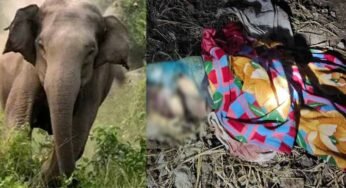 कोरबा : हाथी का कहर, 80 वर्षीय महिला की मौत, मां-बेटी में हड़कंप
