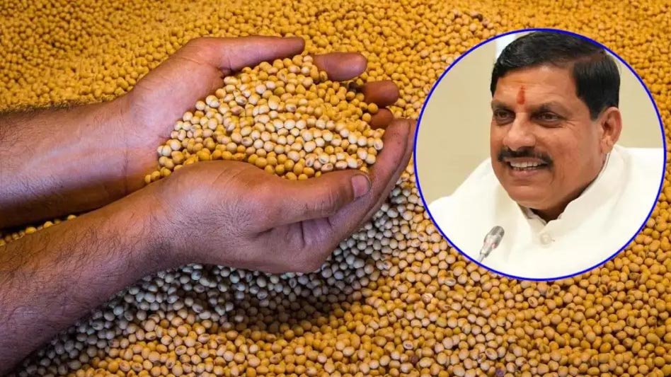मोहन सरकार के दो साल: मध्य प्रदेश में खाद्यान्न उत्पादन में रिकॉर्ड 55 लाख टन की वृद्धि, खेती में नया कीर्तिमान