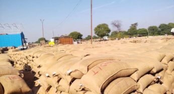 महासमुंद : धान खरीदी केंद्रों में अव्यवस्था पर तीन प्राधिकृत अधिकारी पद से पृथक