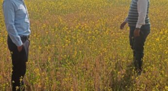 CG : जल संरक्षण से आय संवर्धन तक: धमतरी की रबी फसलों की सफलता कथा…